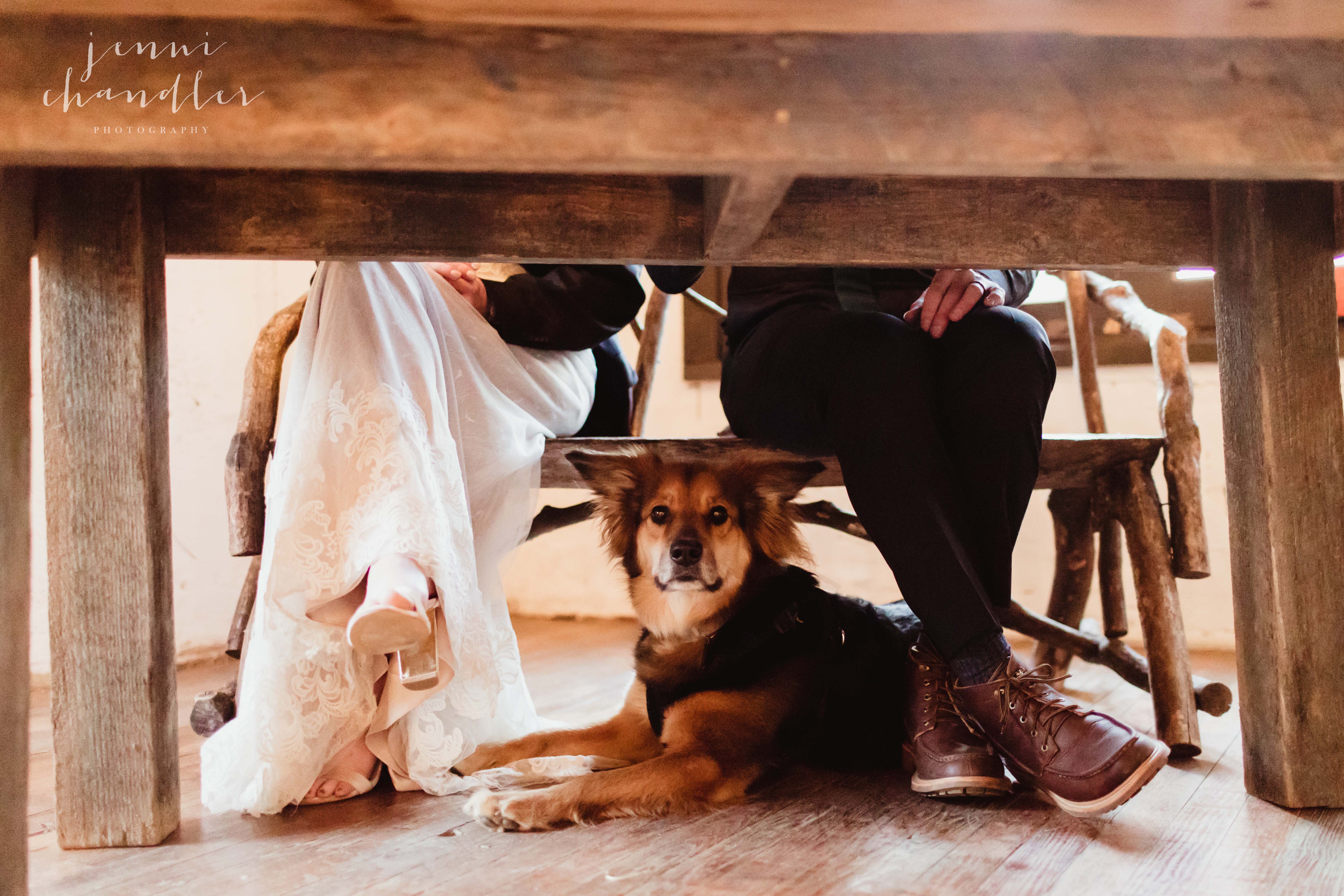 2018JenniChandlerPhotography_BrevardNC_Wedding_AlexandLogan-459